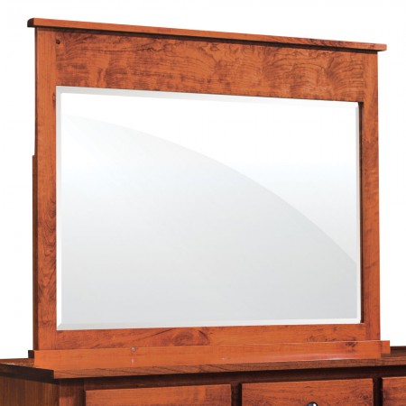 Shenandoah Mule Chest Mirror